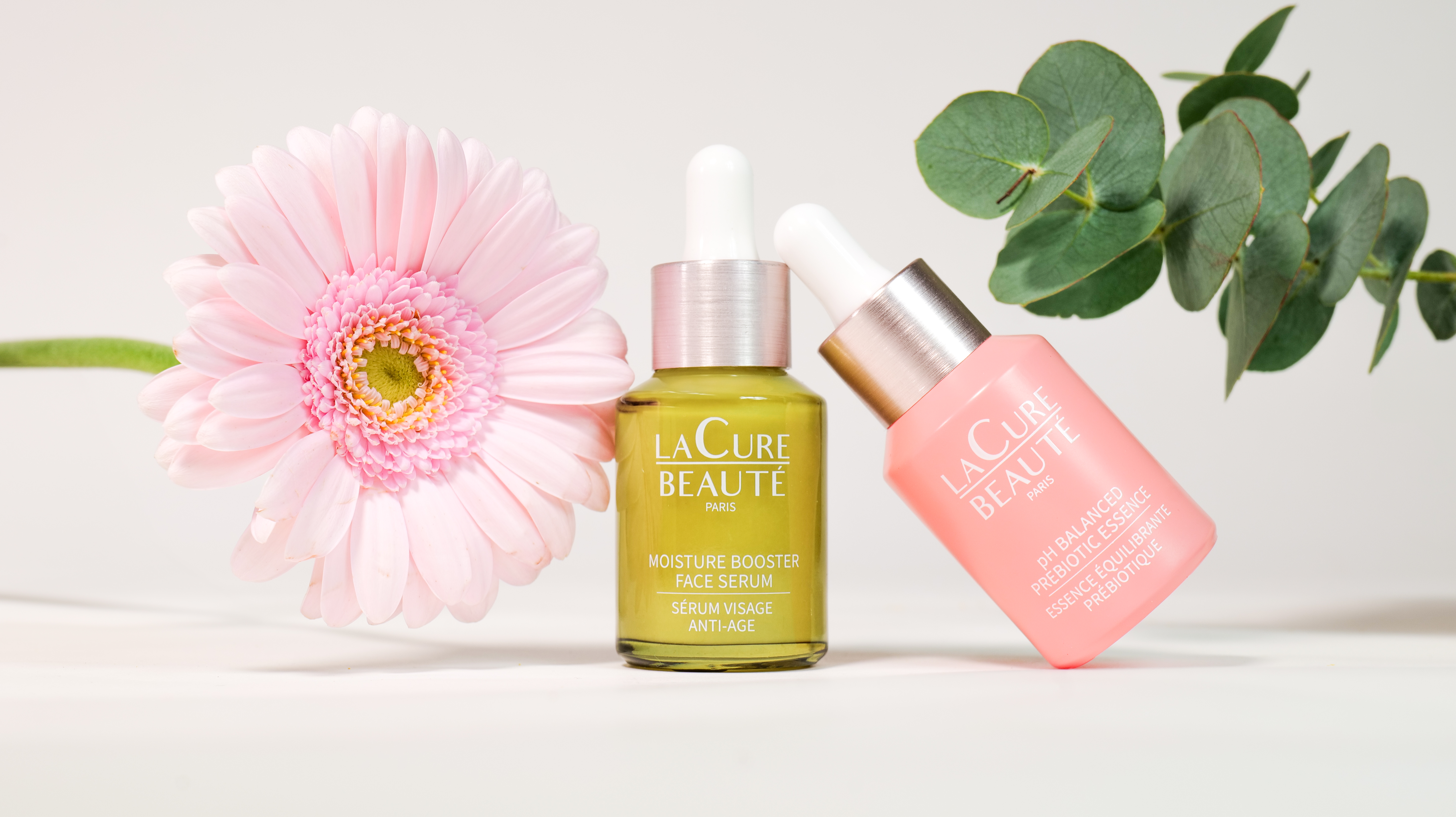 Image de Stage 3ᵉ année Interprestige